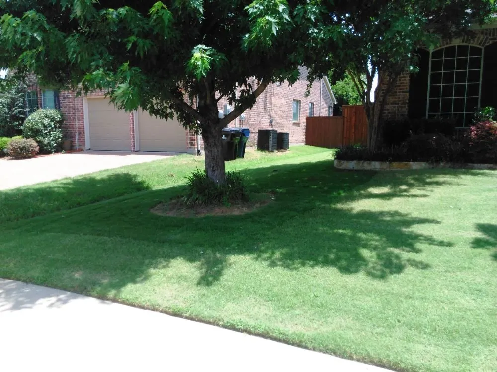 Top-rated outdoor landscaping for homes across Oklahoma City, OK - Bermuda Blooms Lawn Care