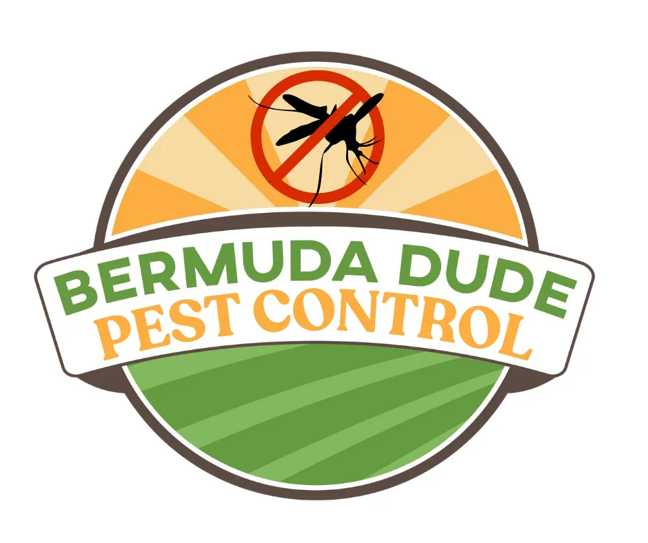 Trusted garden landscaping with custom design in Rosharon, TX by Bermuda Dude