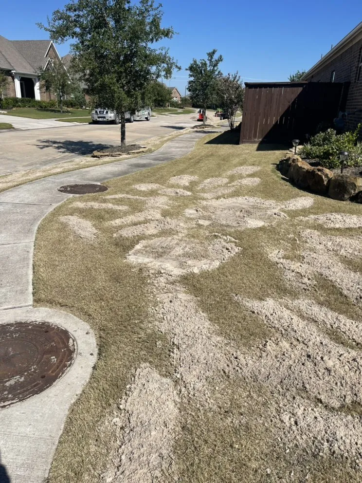 Reliable residential landscaping in Rosharon, TX by Bermuda Dude