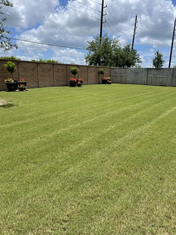 Local outdoor landscaping near you in Rosharon, TX by Bermuda Dude