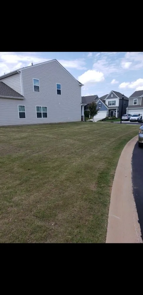 Top-rated yard cleanup service for beautiful yards in Simpsonville, SC by Bermuda Grass King