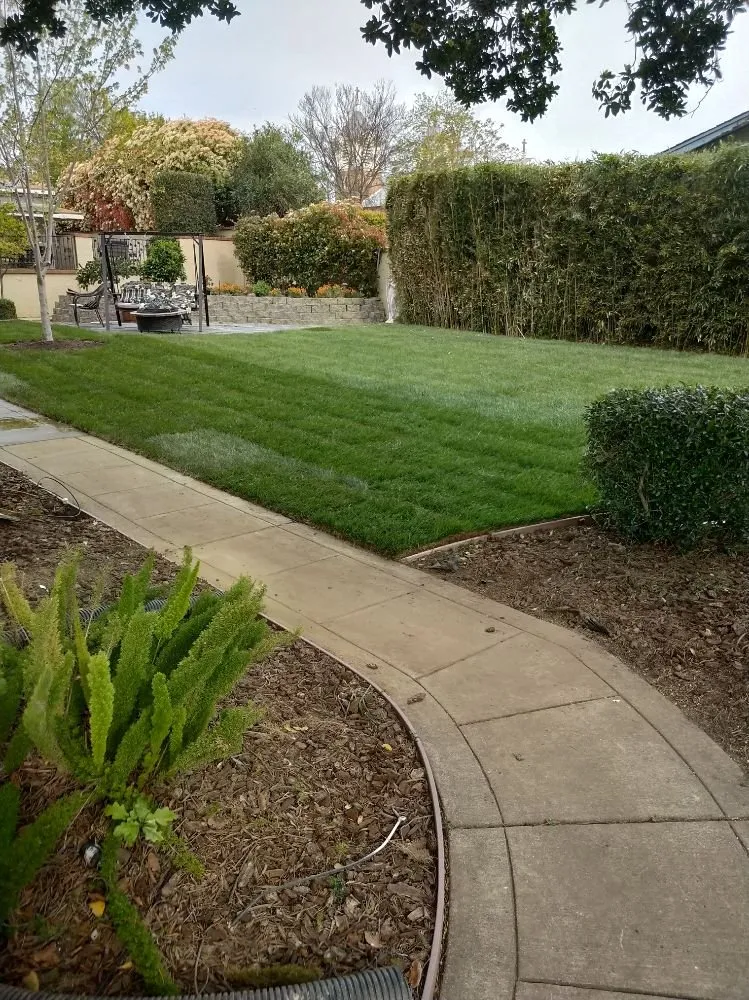 Reliable outdoor landscaping in Dixon, CA - Bermudez Landscaping