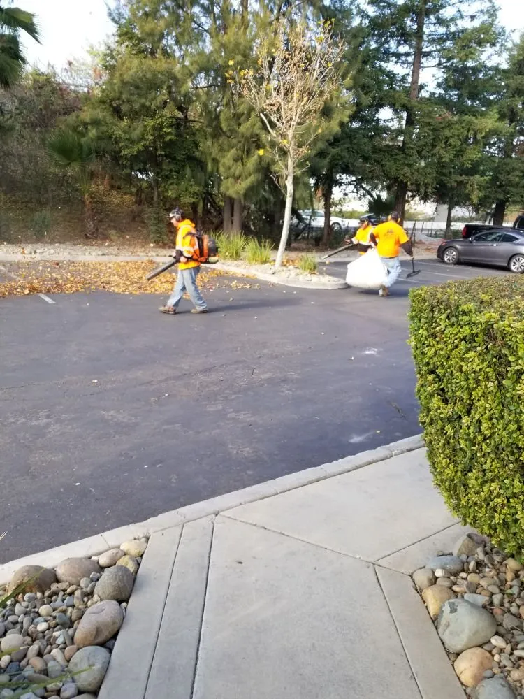 Expert lawn care service with custom design across Dixon, CA - Bermudez Landscaping