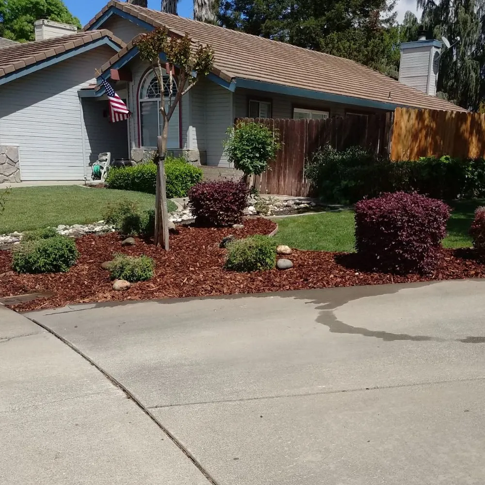 Custom yard cleanup service in Dixon, CA - Bermudez Landscaping