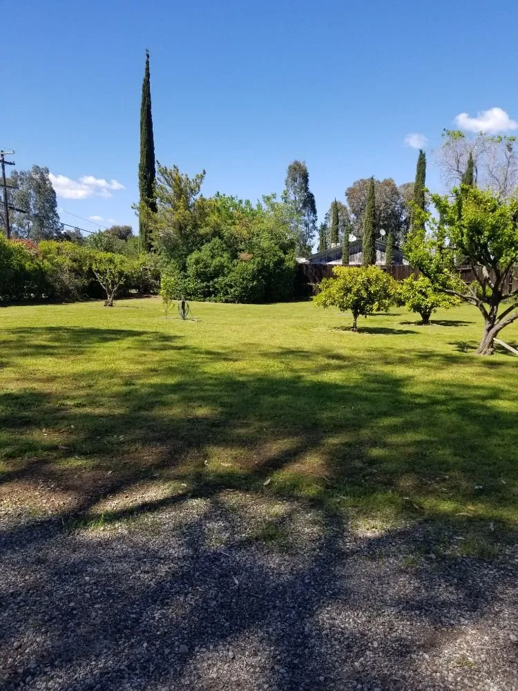 Custom yard maintenance with custom design across Dixon, CA - Bermudez Landscaping