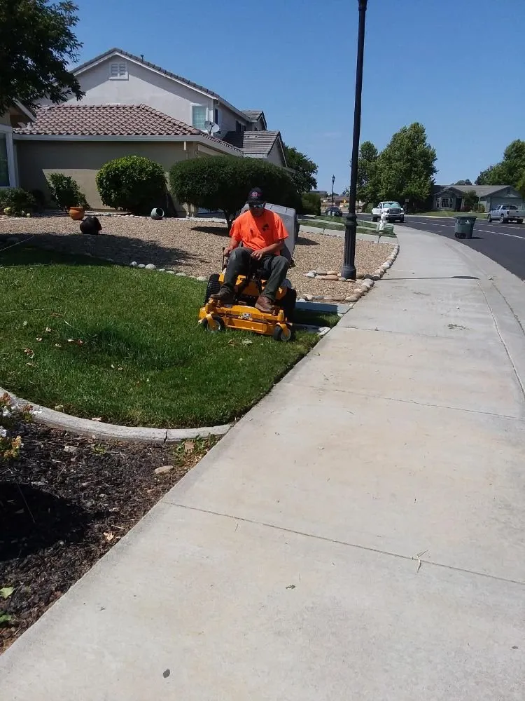 Trusted lawn care service experts serving Dixon, CA - Bermudez Landscaping