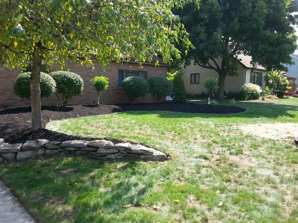 Top-rated residential landscaping near you across Lorain, OH - Bermudez Landscaping