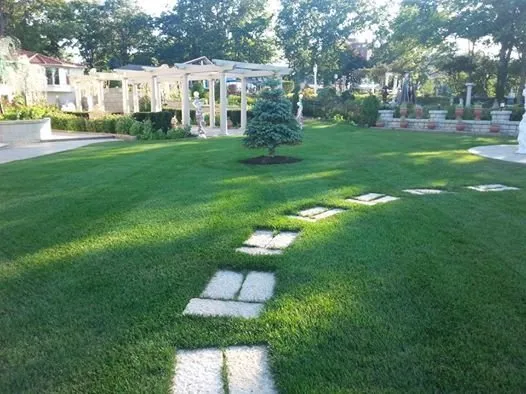 Reliable yard cleanup service for outdoor upgrades across Lorain, OH - Bermudez Landscaping