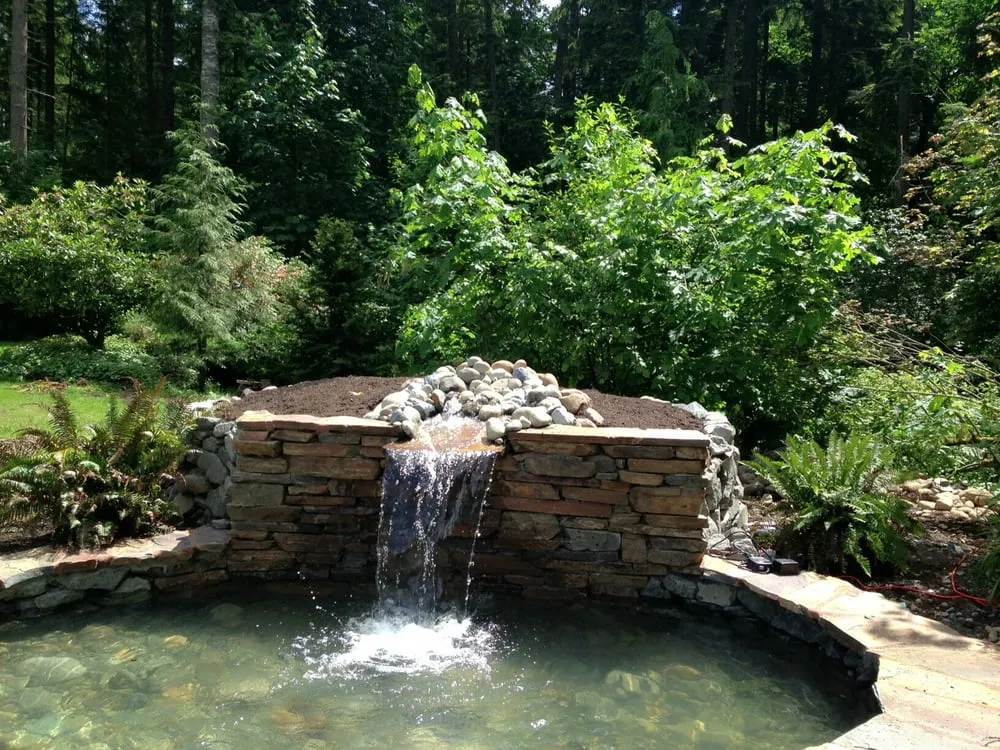 Top-rated lawn care service experts serving Auburn, WA - Berna Landscaping Maintenance