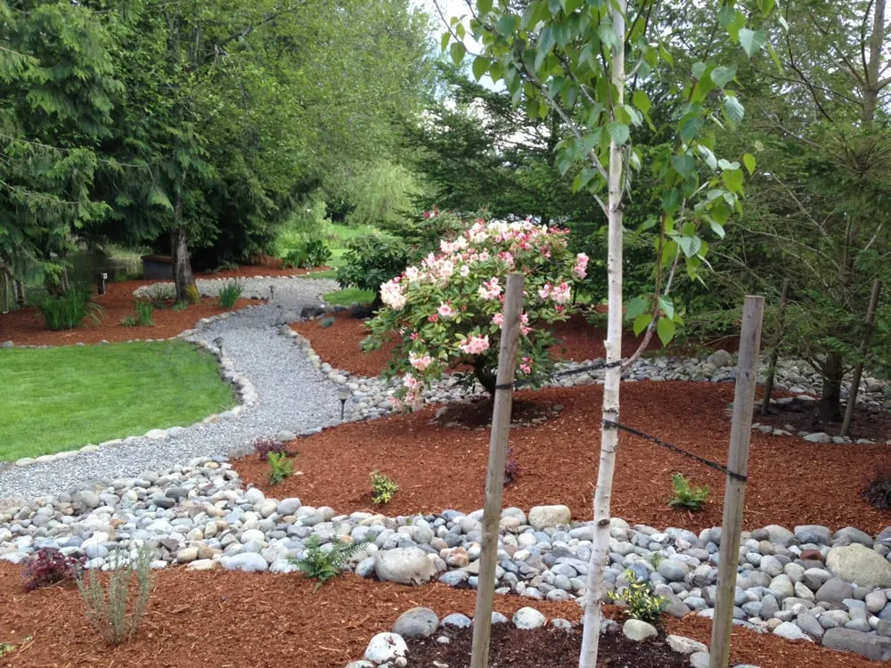 Top-rated lawn mowing service in Auburn, WA by Berna Landscaping Maintenance