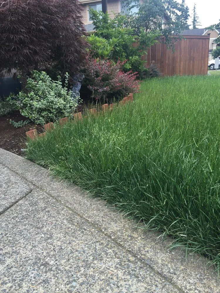 Professional outdoor landscaping near you across Auburn, WA - Berna Landscaping Maintenance