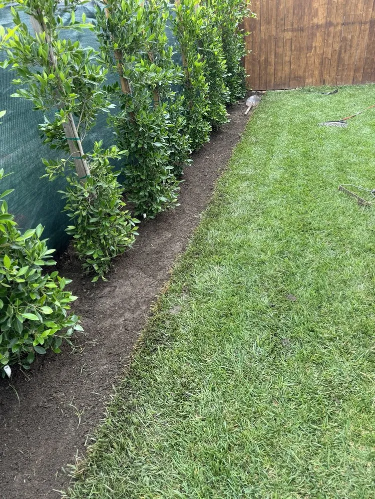Trusted landscaping services in Glendora, CA by Bernal Landscaping & Gardening Service
