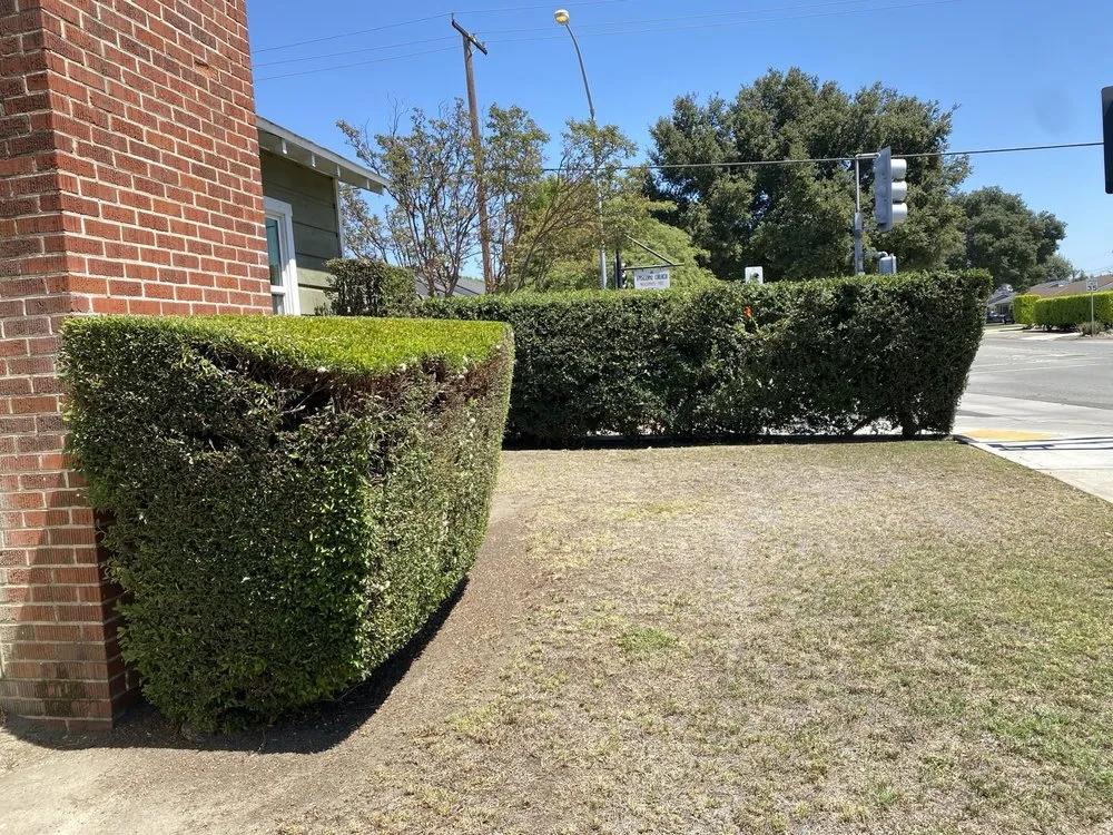 Custom landscaping services in Glendora, CA - Bernal Landscaping & Gardening Service