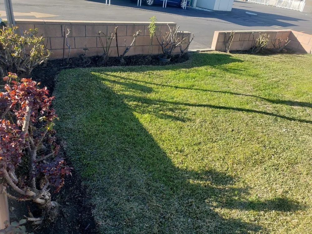 Trusted landscaping services in Glendora, CA - Bernal Landscaping & Gardening Service