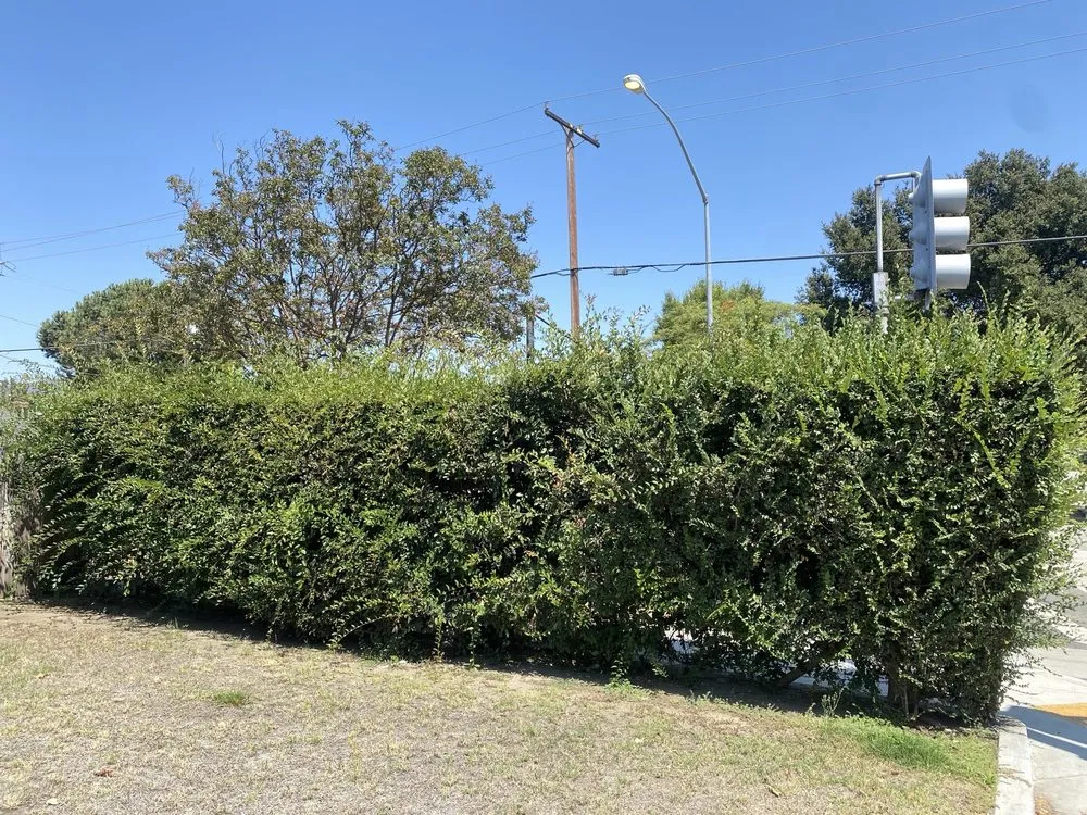 Affordable landscaping services for outdoor upgrades across Glendora, CA - Bernal Landscaping & Gardening Service