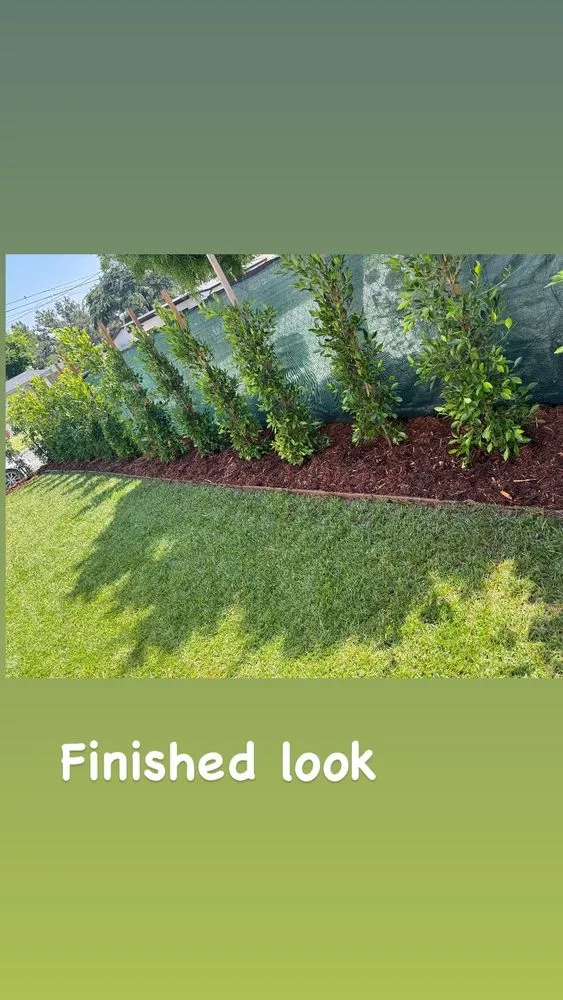 Custom yard cleanup service in Glendora, CA by Bernal Landscaping & Gardening Service