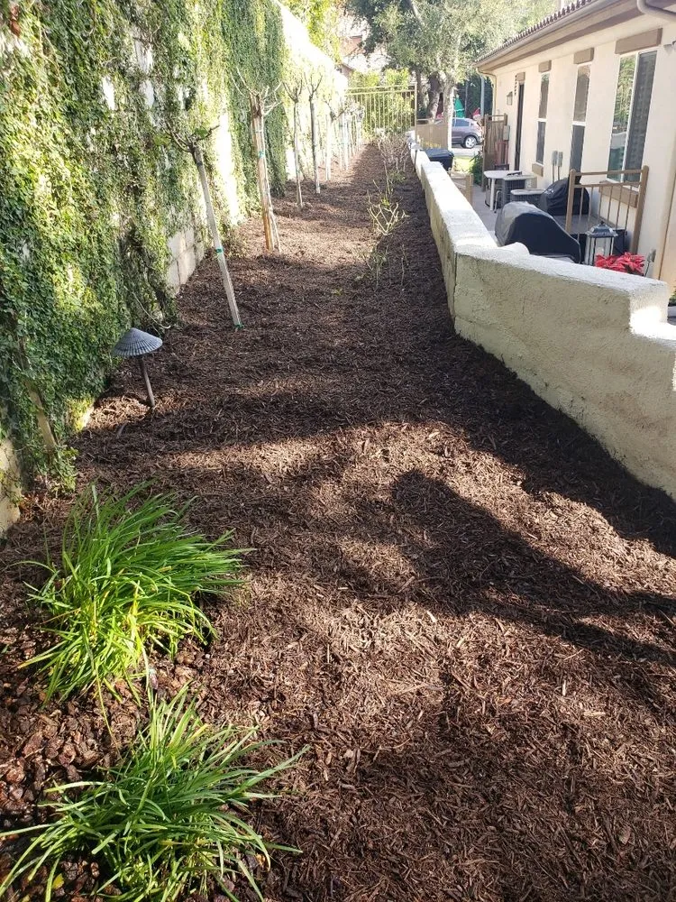 Expert lawn care service in Glendora, CA by Bernal Landscaping & Gardening Service