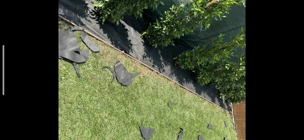 Top-rated lawn care service in Glendora, CA by Bernal Landscaping & Gardening Service