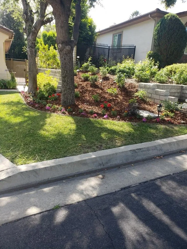 Trusted yard maintenance for homes in Glendora, CA by Bernal Landscaping & Gardening Service