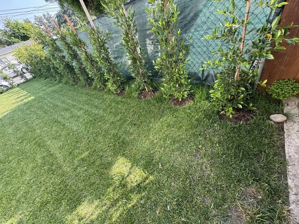 Expert lawn mowing service in Glendora, CA by Bernal Landscaping & Gardening Service