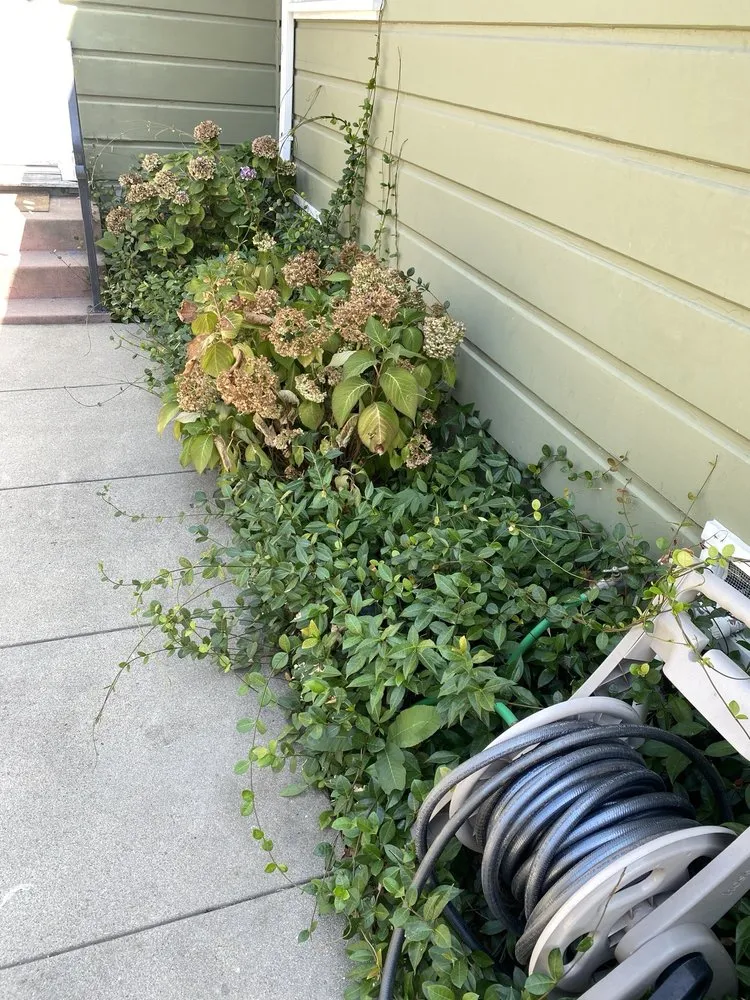 Trusted lawn mowing service for outdoor upgrades across Glendora, CA - Bernal Landscaping & Gardening Service