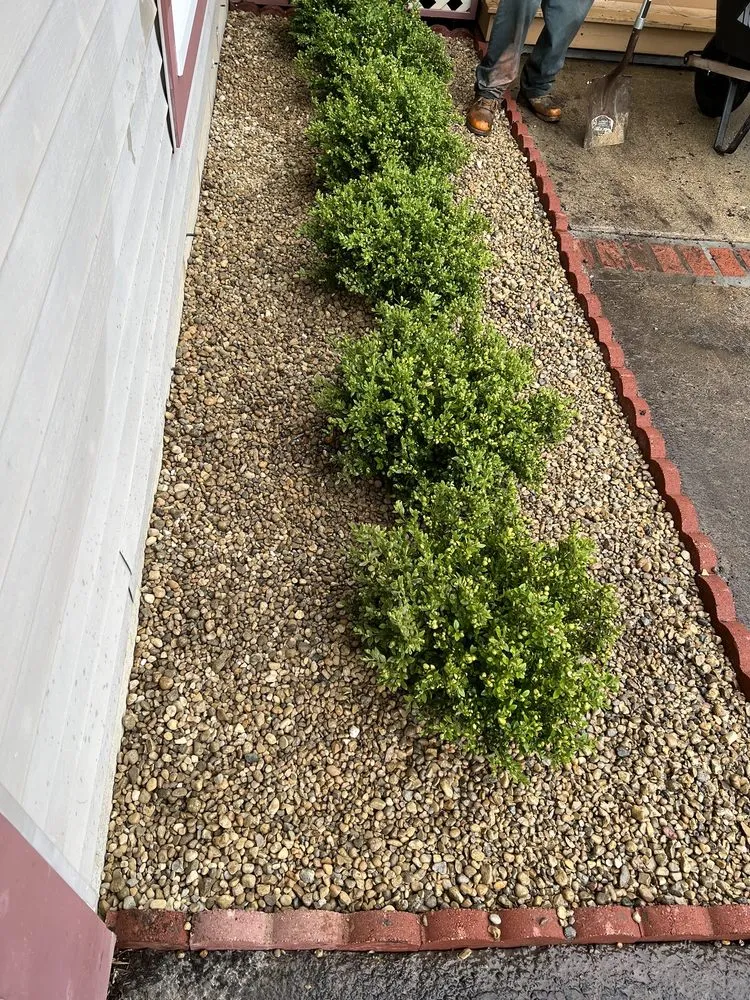 Expert residential landscaping for year-round maintenance in Woodstock, IL by Bernal Landscaping