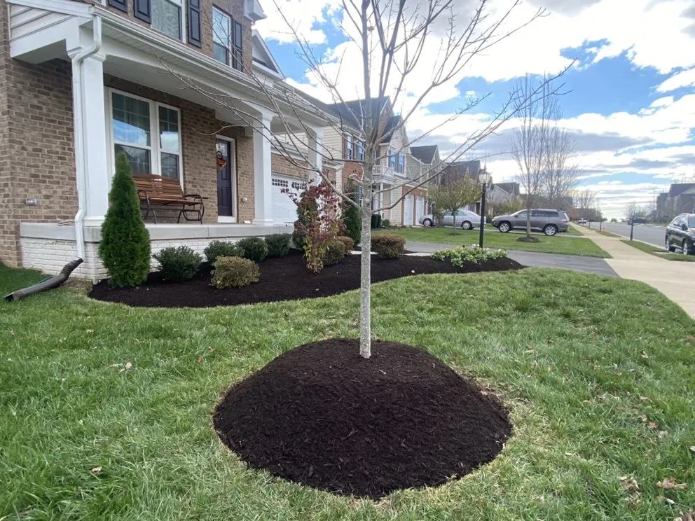 Local landscaping services in Sterling, VA by Bernales Landscaping Services