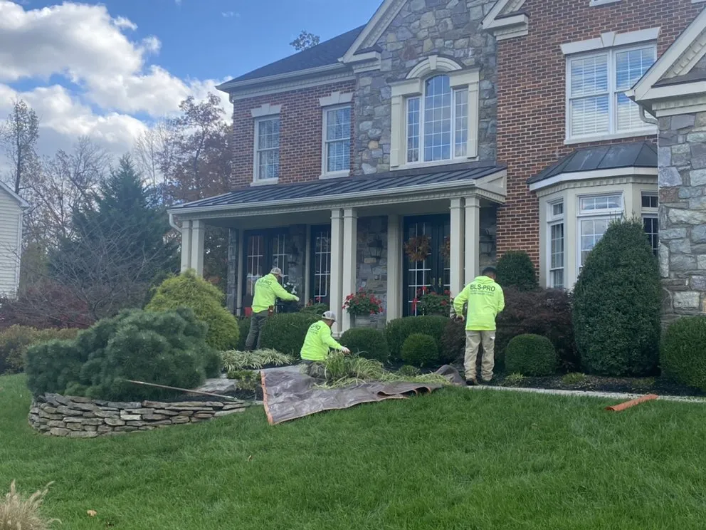 Professional landscaping services in Sterling, VA - Bernales Landscaping Services