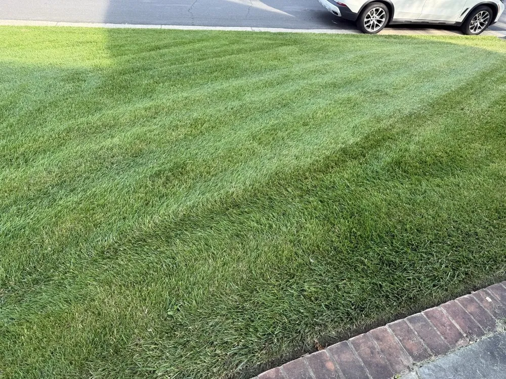 Expert yard cleanup service experts serving Sterling, VA - Bernales Landscaping Services
