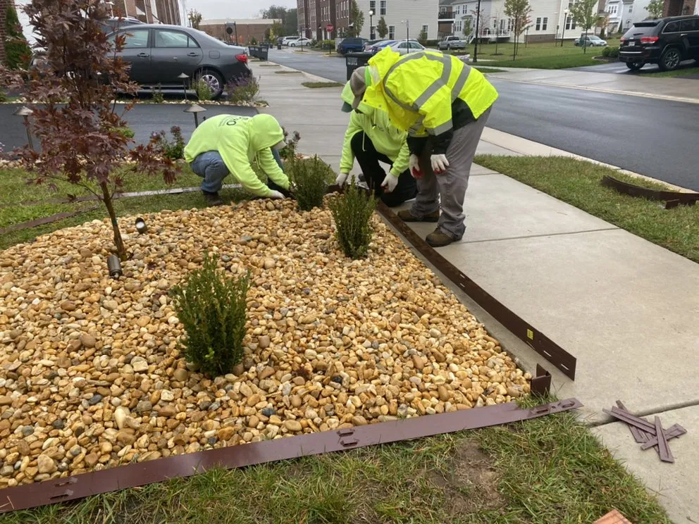 Affordable lawn mowing service in Sterling, VA - Bernales Landscaping Services