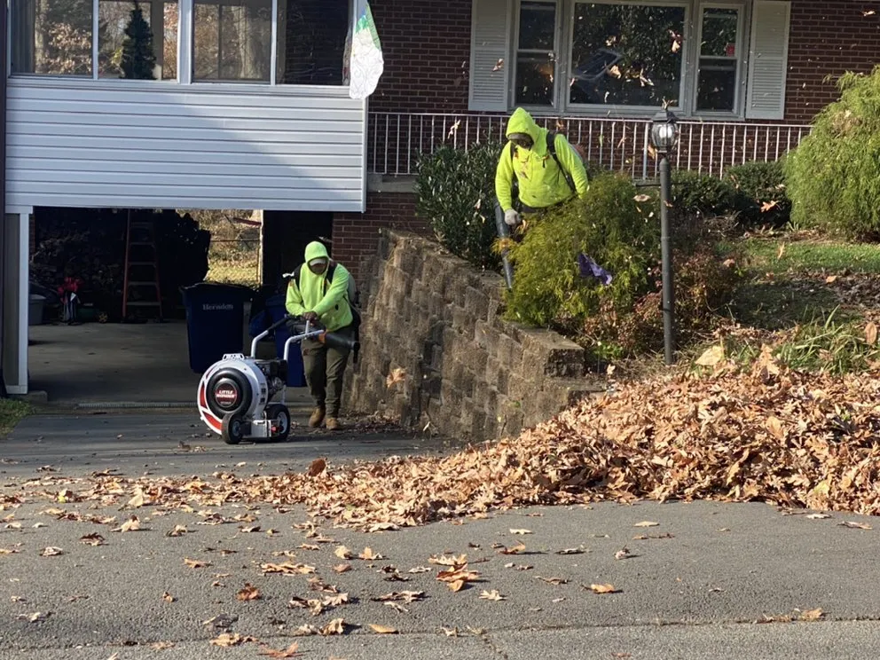 Professional lawn care service experts serving Sterling, VA - Bernales Landscaping Services