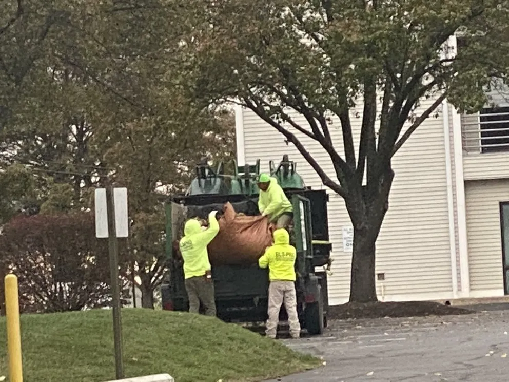 Trusted garden landscaping experts serving Sterling, VA - Bernales Landscaping Services