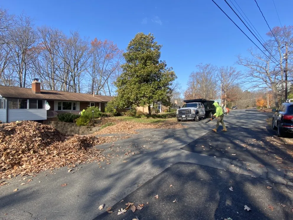 Trusted landscaping services in Sterling, VA - Bernales Landscaping Services