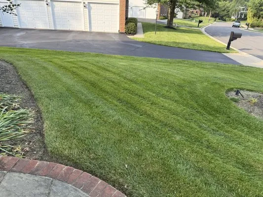 Bernales Landscaping Services Logo