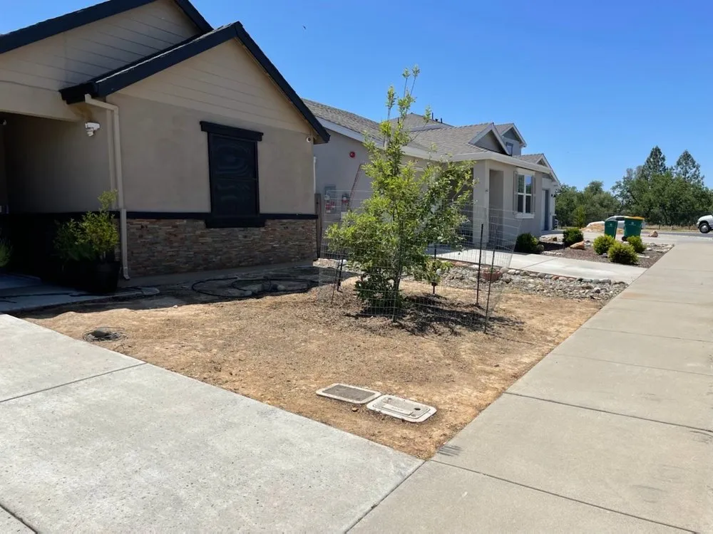 Custom lawn care service in Cameron Park, CA - Bernal's Landscaping & Maintenance