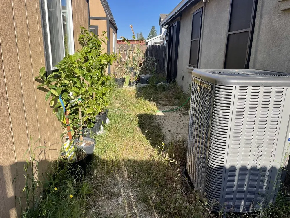 Affordable lawn mowing service in Cameron Park, CA by Bernal's Landscaping & Maintenance