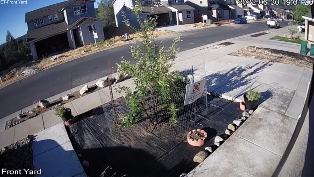 Custom yard maintenance near you across Cameron Park, CA - Bernal's Landscaping & Maintenance