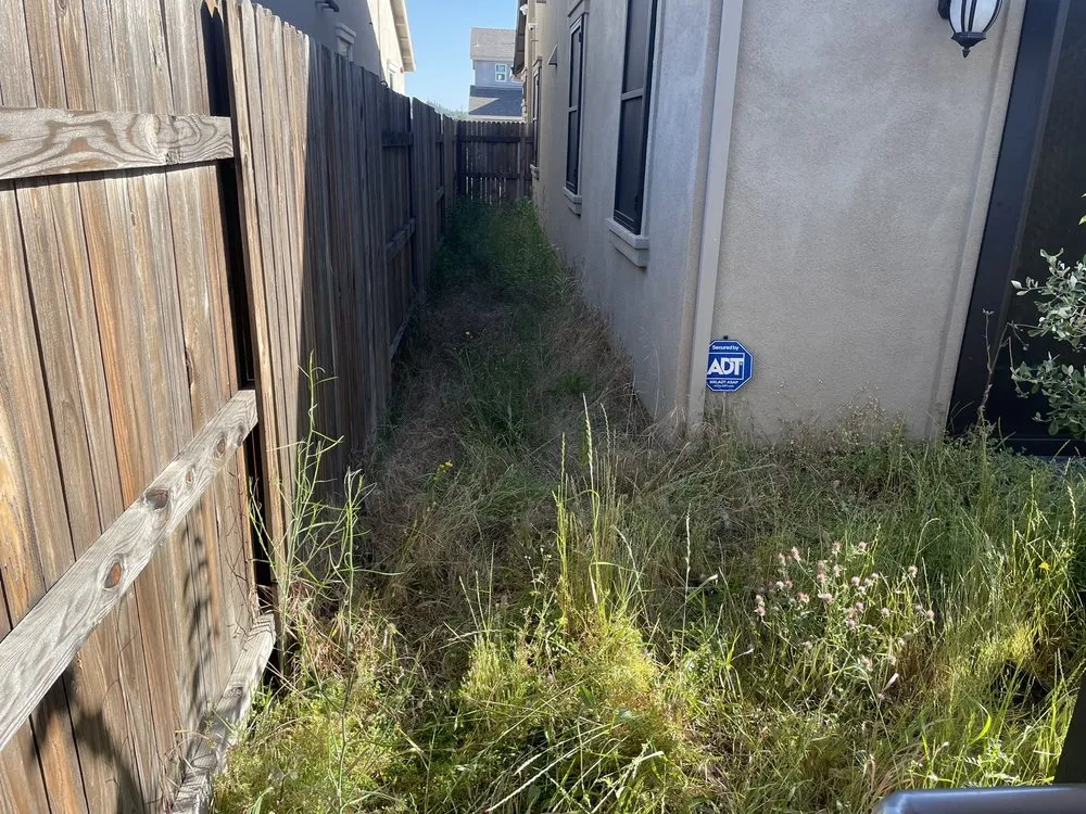 Custom yard maintenance experts serving Cameron Park, CA - Bernal's Landscaping & Maintenance