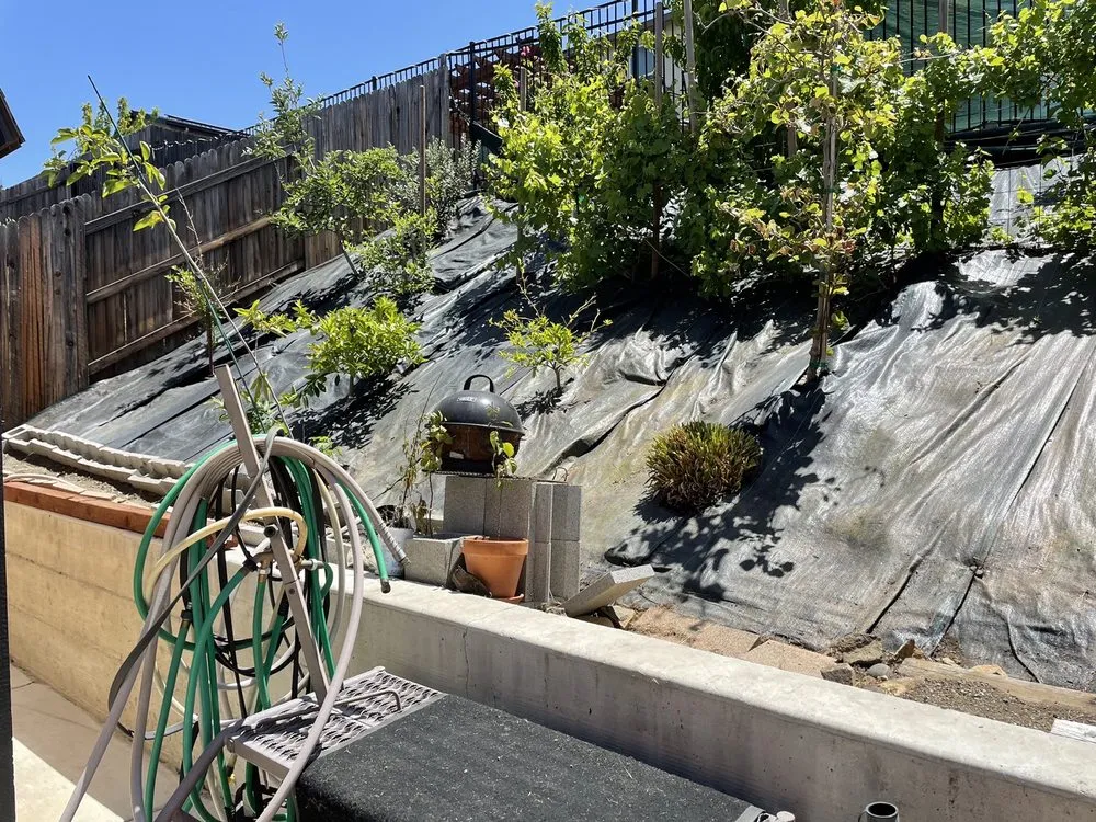 Custom landscape design experts serving Cameron Park, CA - Bernal's Landscaping & Maintenance