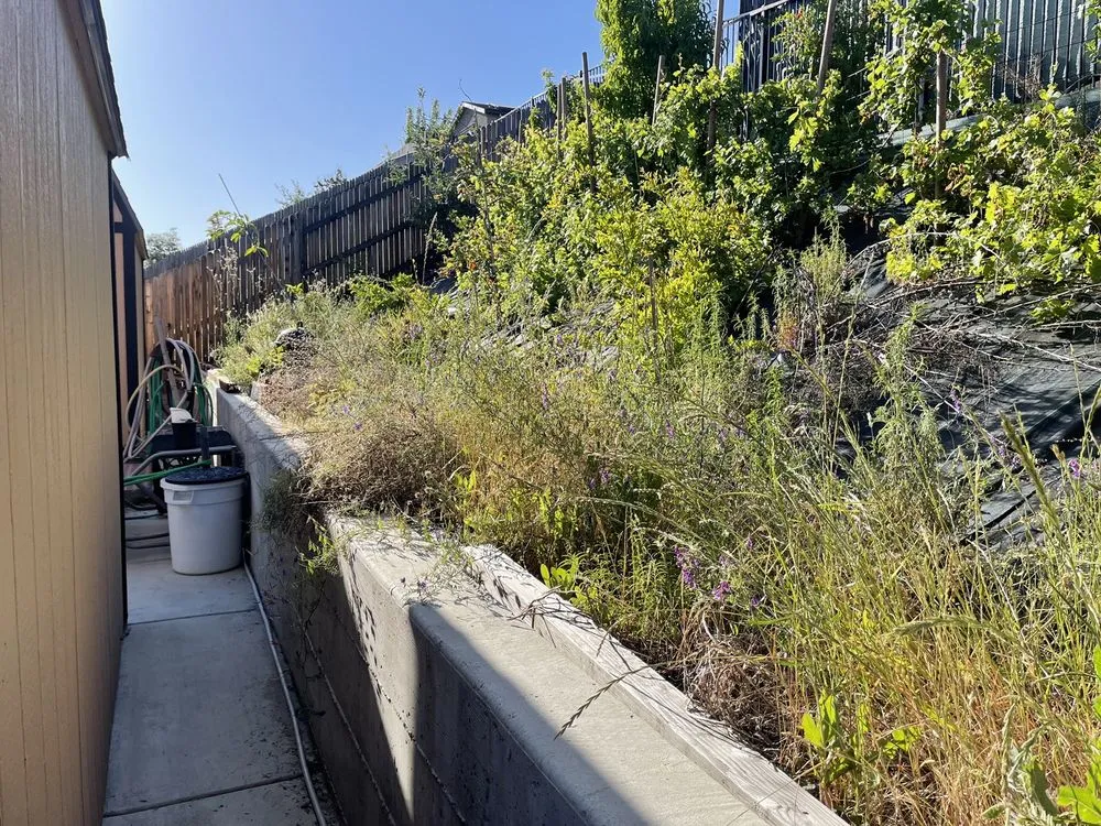 Professional garden landscaping in Cameron Park, CA - Bernal's Landscaping & Maintenance