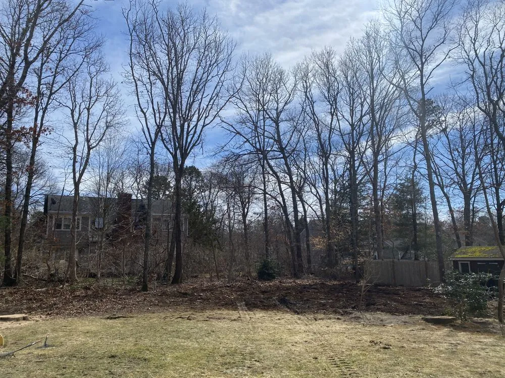 Expert yard cleanup service in North Falmouth, MA - Bernard Landscaping