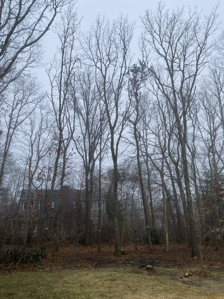 Reliable garden landscaping in North Falmouth, MA by Bernard Landscaping