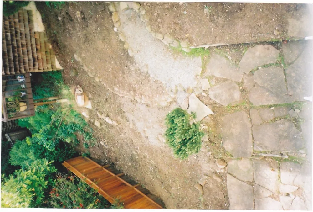 Local lawn care service in San Francisco, CA by Bernard Landscaping