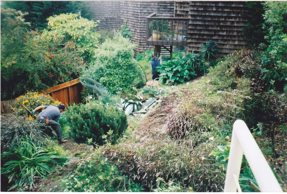 Reliable garden landscaping experts serving San Francisco, CA - Bernard Landscaping
