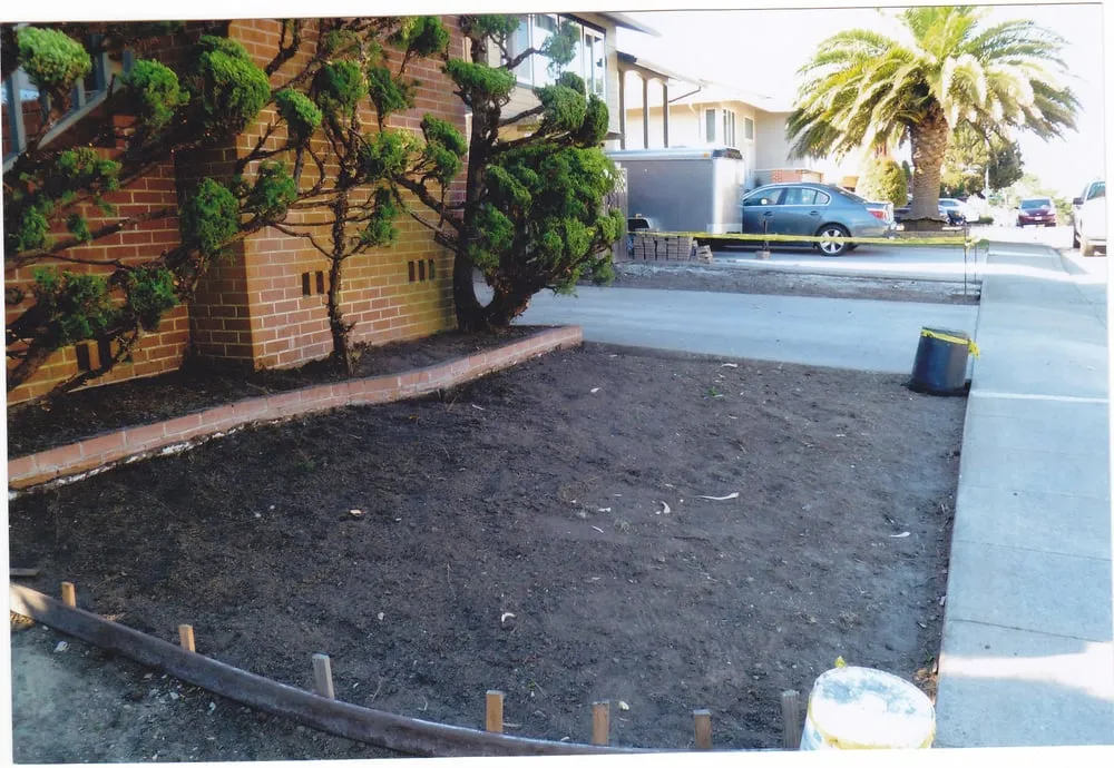 Professional landscaping services in San Francisco, CA - Bernard Landscaping