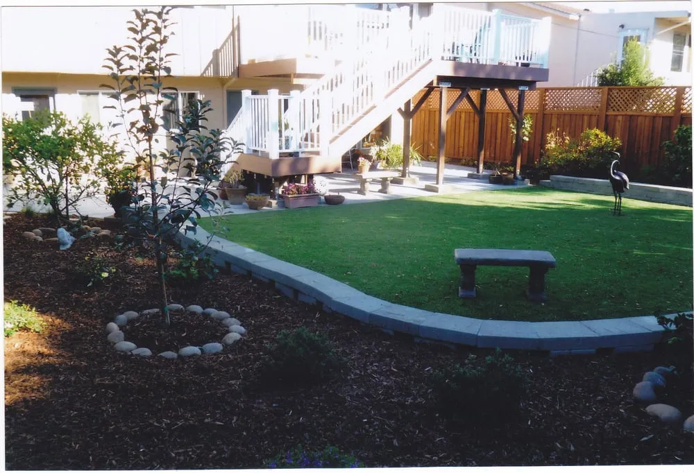 Expert yard maintenance in San Francisco, CA by Bernard Landscaping
