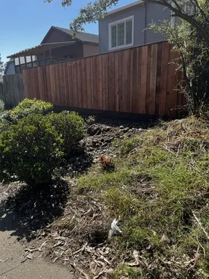 Bernard Landscaping Logo