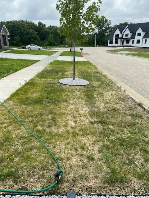 Top-rated residential landscaping in Mokena, IL - Bernardin Landscaping