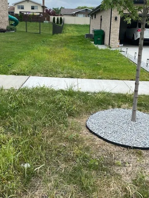 Professional landscape installation for outdoor upgrades in Mokena, IL by Bernardin Landscaping