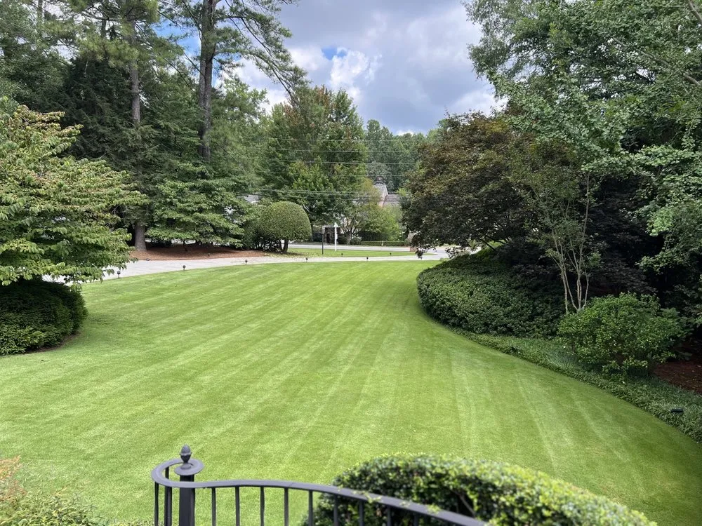 Professional landscape design in Atlanta, GA - Bernardo and Son